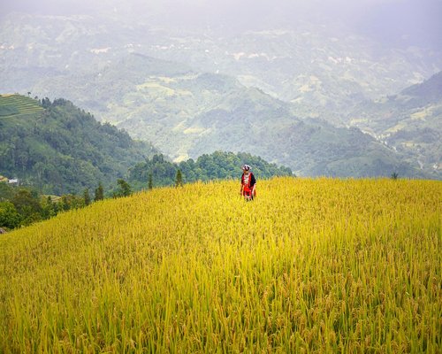 Mujer trabajando cómodamente desde su casa con buena luz natural